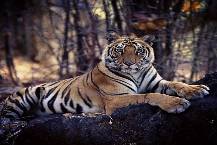 (Photo- Uddhav Thackeray)
