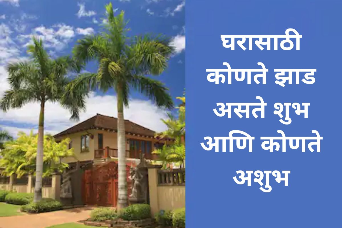Vastu Tips : झाड लावताना तुम्हीही करता ही चूक? पाहा कोणते झाड अंगणात लावणे असते शुभ आणि अशुभ