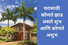झाड लावताना तुम्हीही करता ही चूक? पाहा कोणते झाड अंगणात लावणे असते शुभ आणि अशुभ झाड लावताना तुम्हीही करता ही चूक? पाहा कोणते झाड अंगणात लावणे असते शुभ आणि अशुभ