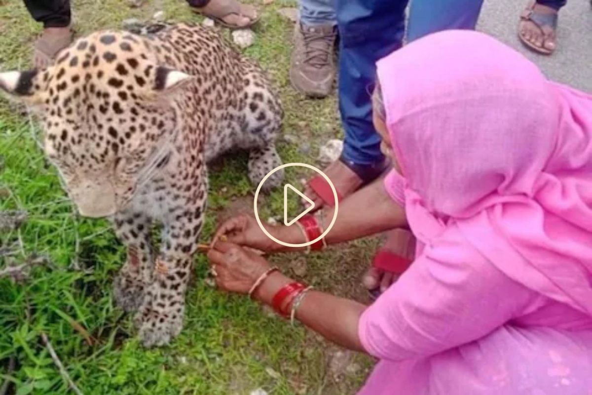 माहेरी जाताना रस्त्यातच बहिणीचं अनोखं रक्षाबंधन, सोशल मीडियावर व्हिडीओ होतोय व्हायरल