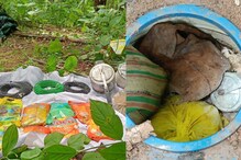माओवाद्यांचा मोठा घातपाताचा कट उधळला, पोलिसांची मोठी कारवाई माओवाद्यांचा मोठा घातपाताचा कट उधळला, पोलिसांची मोठी कारवाई
