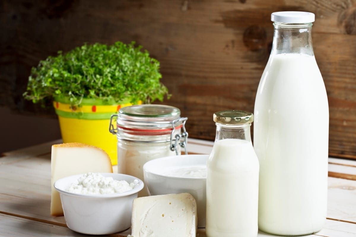 दुग्धजन्य पदार्थ खाल्ल्याने खराब कोलेस्ट्रॉल वाढतं का? नेमकी माहिती जाणून घ्या