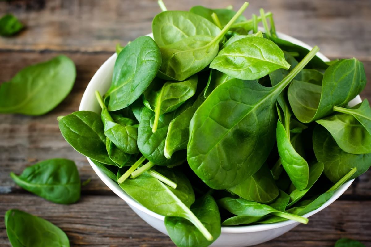 ..तरच पालकचे मिळतील अस्सल फायदे, घरच्या घरी या सोप्या पद्धतीने पिकवून पाहा