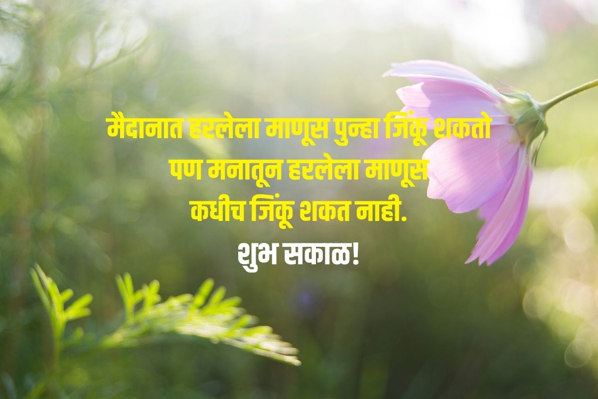 मैदानात हरलेला माणूस पुन्हा जिंकू शकतो पण मनातून हरलेला माणूस कधीच जिंकू शकत नाही. शुभ सकाळ!