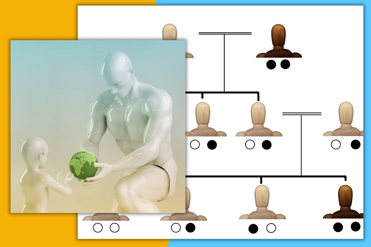 वारसा हक्क प्रमाणपत्र आहे खूपच महत्त्वाचं, ते कसं काढायचं? जाणून घ्या प्रोसेस