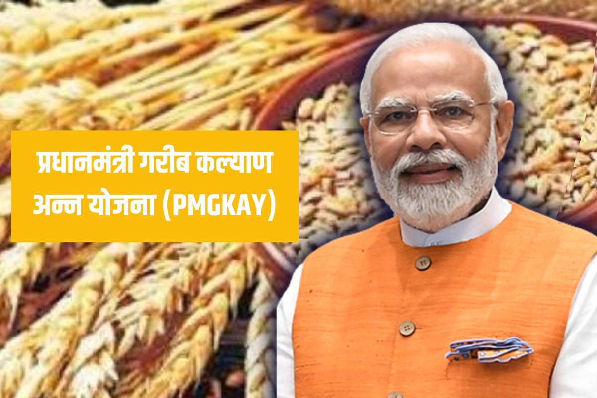 PMGKAYचा कालावधी तीन महिन्यांनी वाढला, 80 कोटी लोकांना मिळPMGKAYचा कालावधी तीन महिन्यांनी वाढला, 80 कोटी लोकांना मिळणार मोफत धान्यणार मोफत धान्य