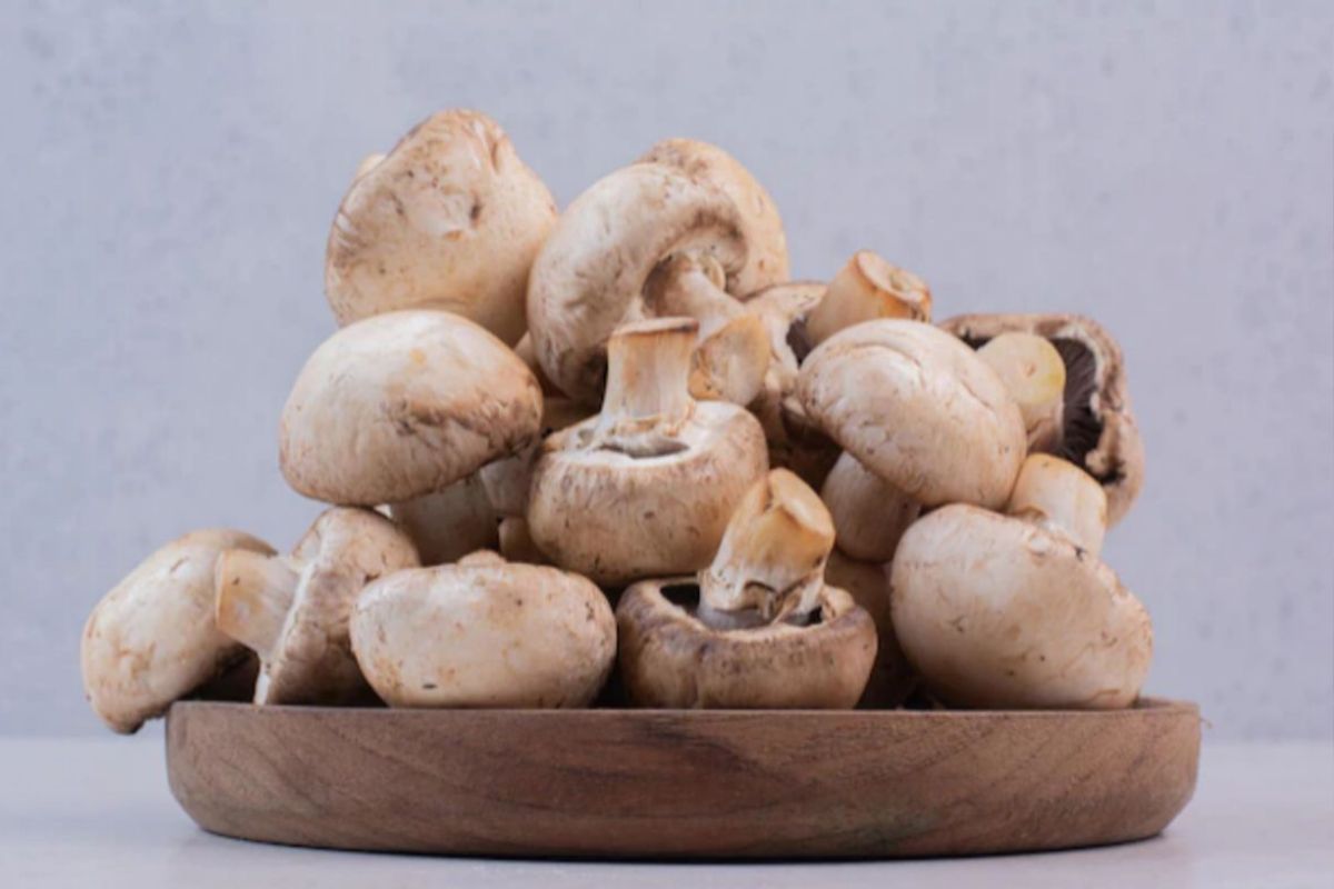 Side Effects Of Mushroom: मशरूम खाणं शरीरासाठी ठरू शकतं हानिकारक; होऊ शकतात 'हे' गंभीर आजार