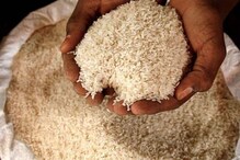 भात खाल्ल्यानं वजन वाढत नाही; पाहा संशोधनातून काय समोर आलं