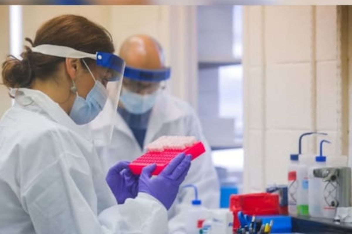 वटवाघळांमध्ये आढळला कोरोनासारखाच खोस्टा-2 व्हायरस; माणसांसाठीही घातक? लसही नाही प्रभावी