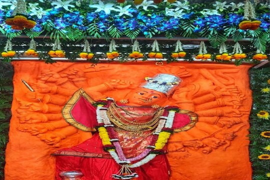 Navratri : नवरात्रीच्या पहिल्या दिवशी दिसलं सप्तश्रृंगी देवीचं मूळ मनोहर रूप, Video