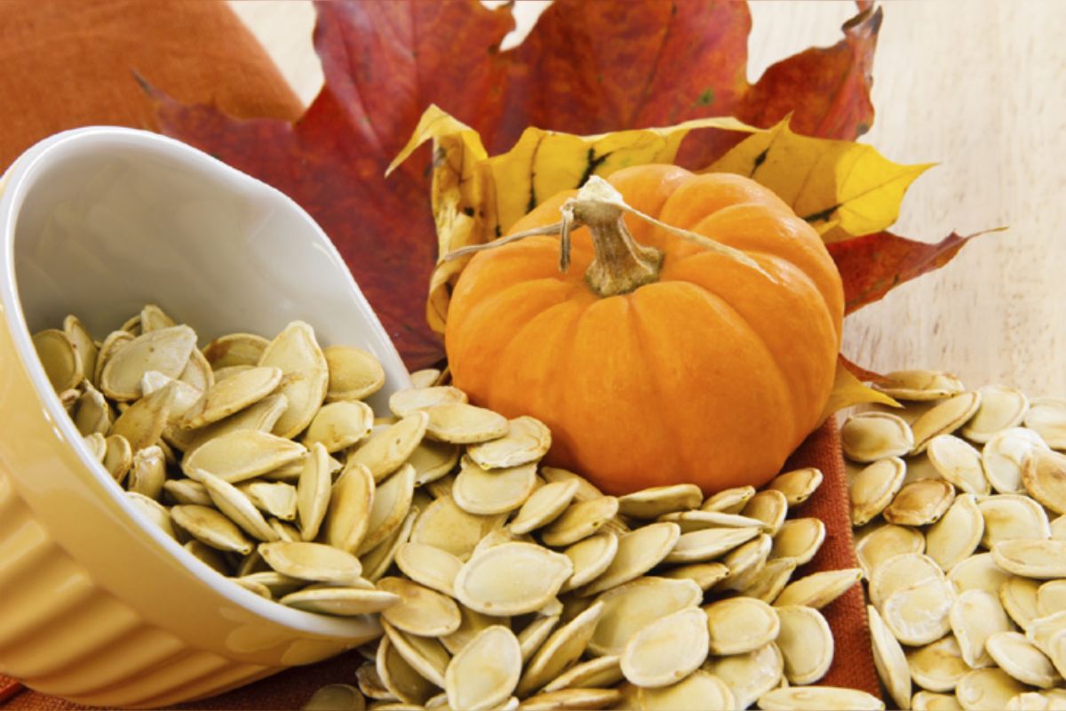 Pumpkin Seeds Benefits