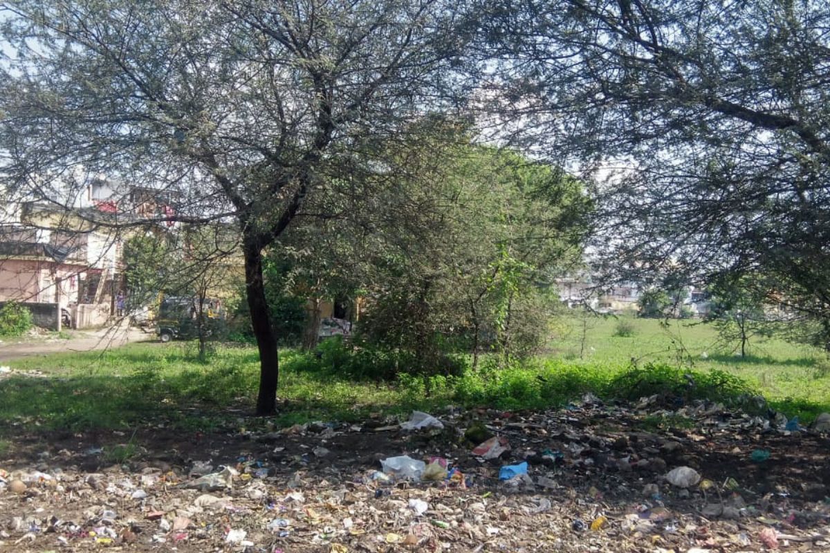 Nashik : फुलेनगरमध्ये 3 महिन्यांपासून घाणीचे साम्राज्य, मोकाट जनावरांच्या उच्छादामुळे नागरिक त्रस्त