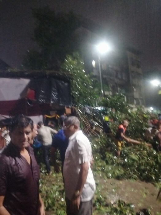 ठाण्यातील कोलबाडच्या राजाची शेवटची आरती सुरू असताना गणपतीच्या मंडपावर झाड कोसळलं. 