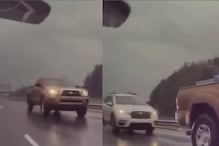 पाऊस आणि धुक्यांमुळे रस्त्यावर भीषण अपघात, कार उडाली आणि मग... VIDEO VIRAL
