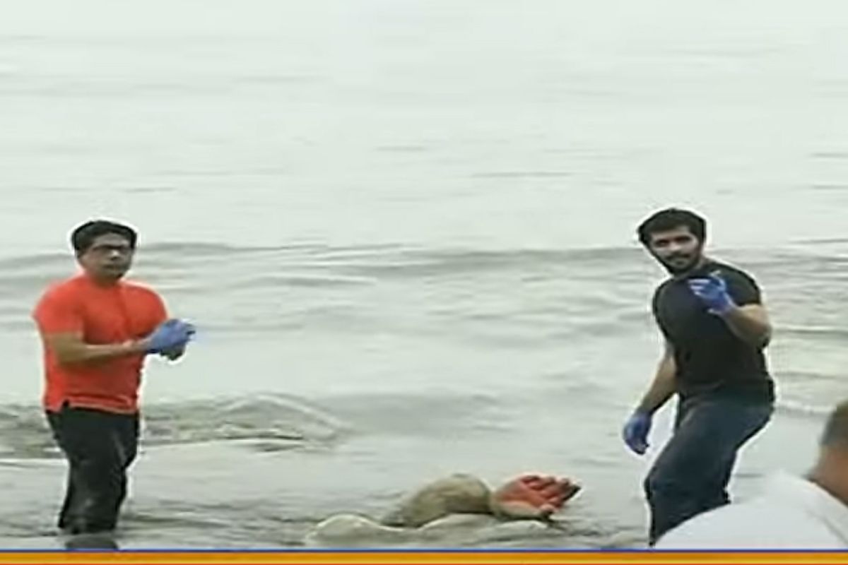 बाप्पाच्या विसर्जनानंतर समुद्रकिनारी मूर्तीचे अवशेष पडलेले दिसतात, निर्माल्यासोबत प्लास्टिकचाही कचरा असतो.