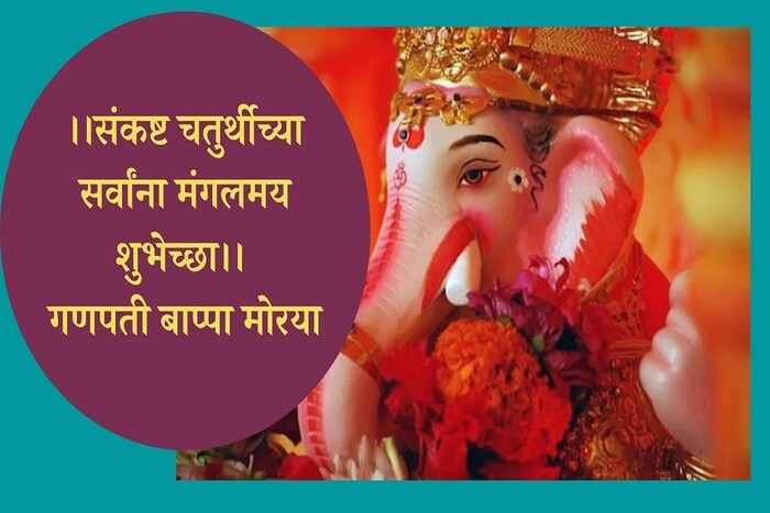 अंगारकी चतुर्थीच्या सर्वांना मंगलमय शुभेच्छा || गणपती बाप्पा मोरया