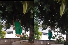 ''पडू नकोस...'' असं म्हणताच झोपाळ्यावरुन धपकन पडल्या काकू, Video फारच मजेदार ''पडू नकोस...'' असं म्हणताच झोपाळ्यावरुन धपकन पडल्या काकू, Video फारच मजेदार
