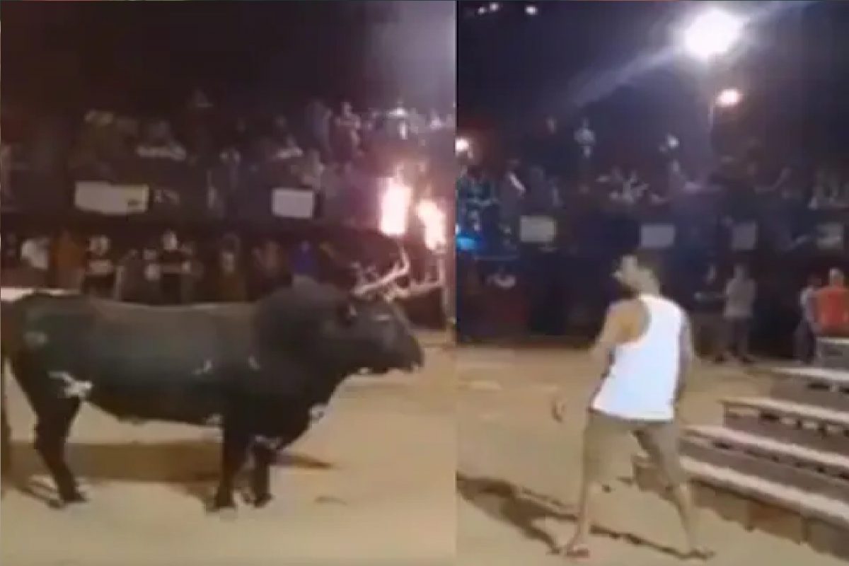 चॅलेंज देणाऱ्या व्यक्तीवर बैलाने केला भयानक हल्ला.