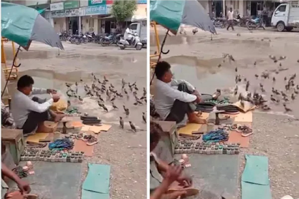 मोचीने असं काही केलं की होतंय कौतुक.