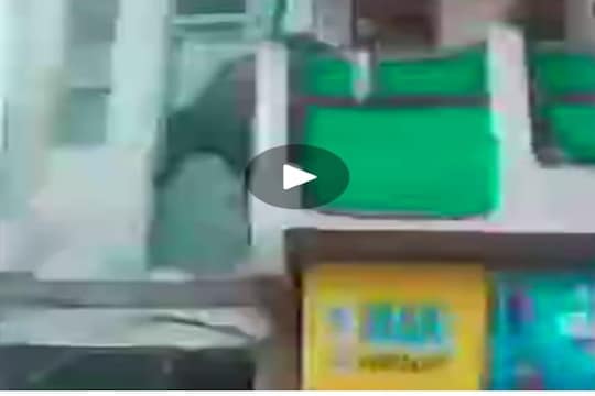 गायीची आत्महत्या म्हणून VIDEO VIRAL; प्रत्यक्षात तिथं काय घडलं इथं पाहा