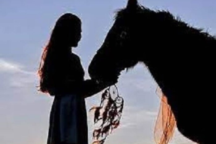 स्वप्नात तुम्ही घोड्यावर असाल तर हा नवीन नोकरीचा संकेत असू शकतो. 