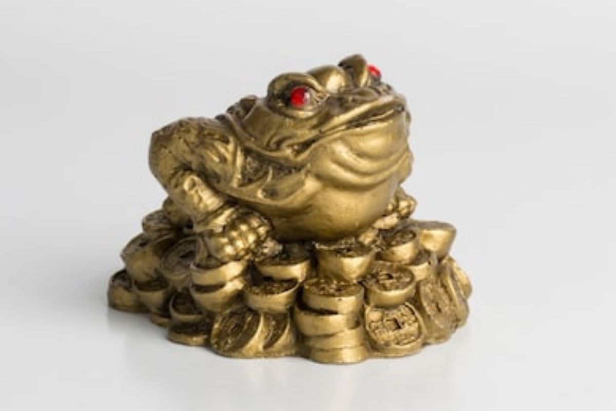 Vastu Tips : घरात ठेवा हे फेंगशुई बेडूक, कधीच भासणार नाही पैशांची चणचण, वाचा इतर फायदे