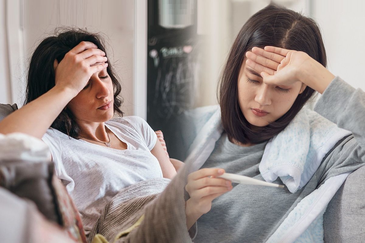 ताप डेंग्यूचा आहे की साधा? लक्षणांमधील या फरकांवरून सहज ओळखा येतं