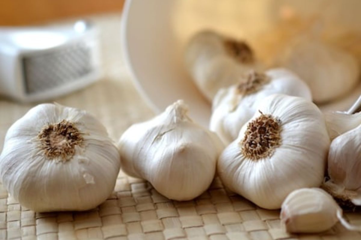 Astro Tips : भीतीदायक स्वप्न आणि आर्थिक समस्यांतूनही मुक्त करतो लसूण; फक्त करा हे सोपे उपाय