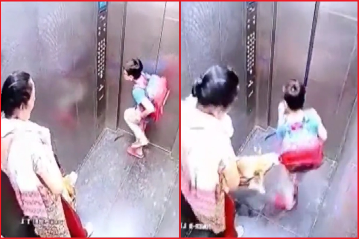 Video : लिफ्टमध्ये पाळीव कुत्र्याने घेतला मुलाचा चावा, मालकिणीची प्रतिक्रिया पाहून नेटीझन्सकडून संताप व्यक्त