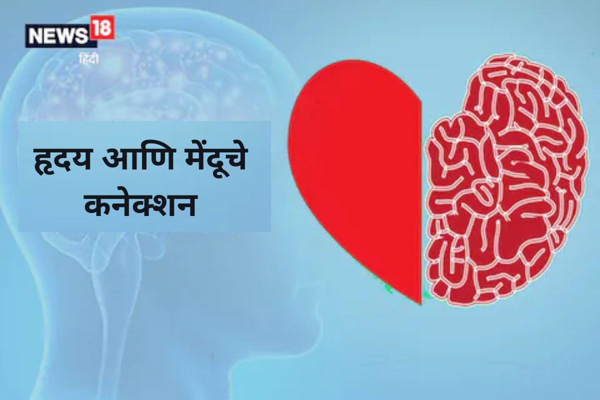 Brain And Heart : हृदय कमकुवत असणाऱ्यांचा मेंदू लवकर होतो वृद्ध! असं आहे हार्ट आणि ब्रेनचं कनेक्शन