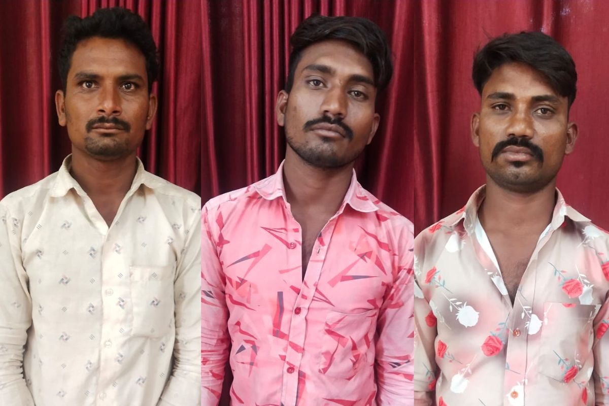 अटक करण्यात आलेले आरोपी