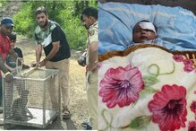 Monkey Attack : माकडाचा पोलीस ठाण्यात हल्ला, महिलेपासून बाळ हिसकावण्याचा प्रयत्न अन्... Monkey Attack : माकडाचा पोलीस ठाण्यात हल्ला, महिलेपासून बाळ हिसकावण्याचा प्रयत्न अन्...
