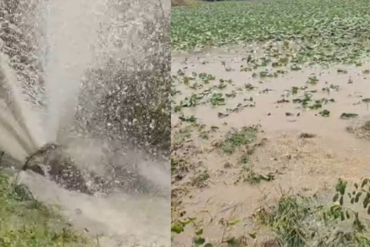 VIDEO : सिन्नर शहराला पाणीपुरवठा करणाऱ्या पाईपलाईनला मोठी गळती, लाखो लीटर पाणी वाया