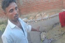 चार्जिंगला लावलेल्या मोबाईलचा स्फोट, अन् खाटीवर झोपलेल्या चिमुरडीचा... चार्जिंगला लावलेल्या मोबाईलचा स्फोट, अन् खाटीवर झोपलेल्या चिमुरडीचा...