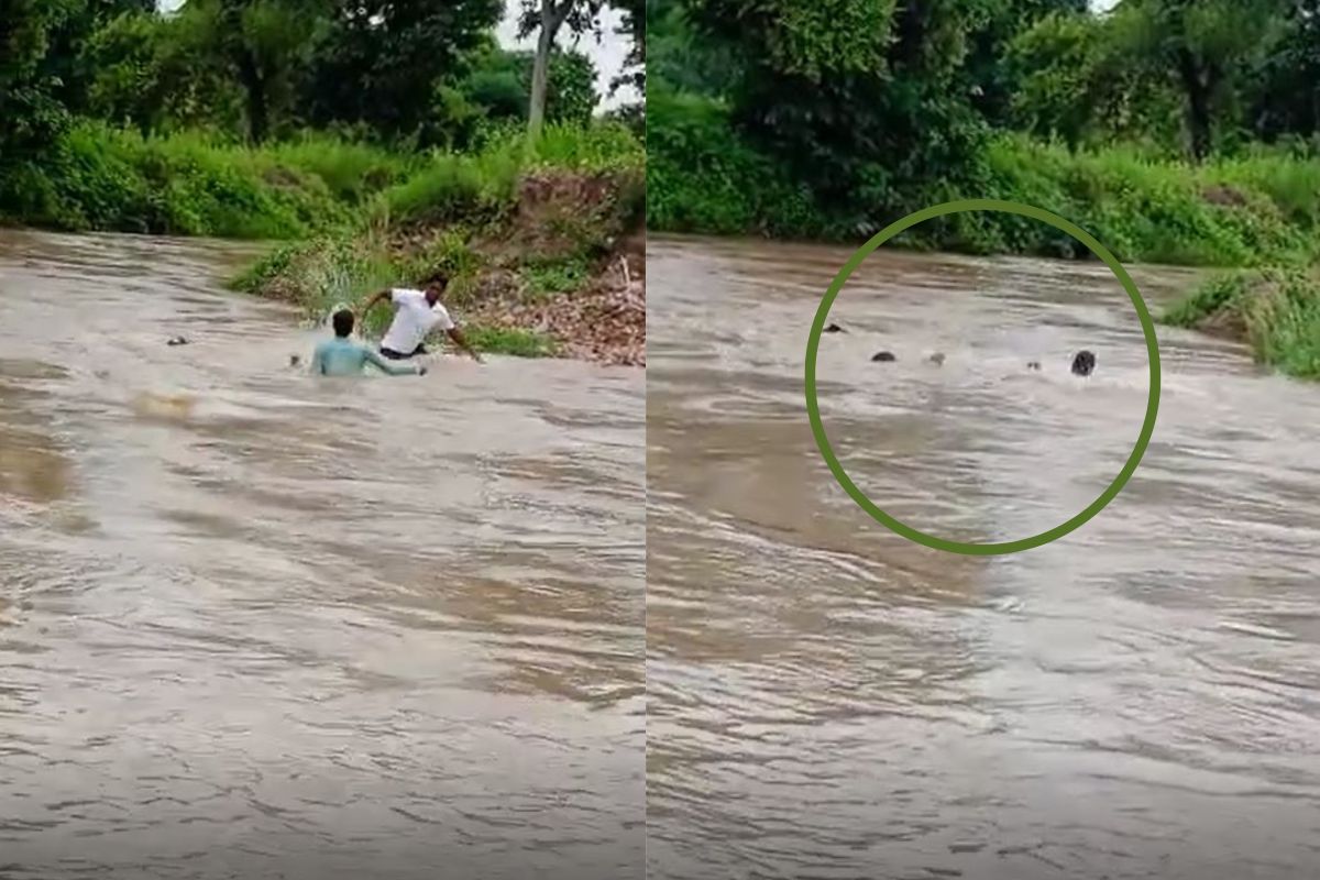 नदीत वाहून गेलेल्या तरुणाला वाचवण्यासाठी गेला अन् स्वतःही...; नागपुरातील थरार, Live Video