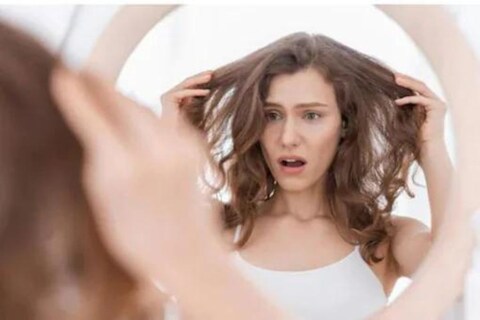 कंडिशनरच्या वापरामुळे केस मुलायम आणि निरोगी राहण्यास मदत होते. मात्र केसांना कंडिशनर लावण्यापूर्वी काही महत्त्वाच्या गोष्टी जाणून घेणं गरजेचं आहे. (Hair Conditioner)
