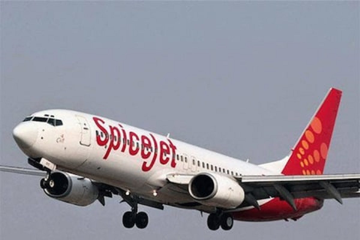 Spicejet च्या स्टॉक धारकांना डबल धक्का! गुंतवणूकदारांसाठी महत्त्वाची बातमी