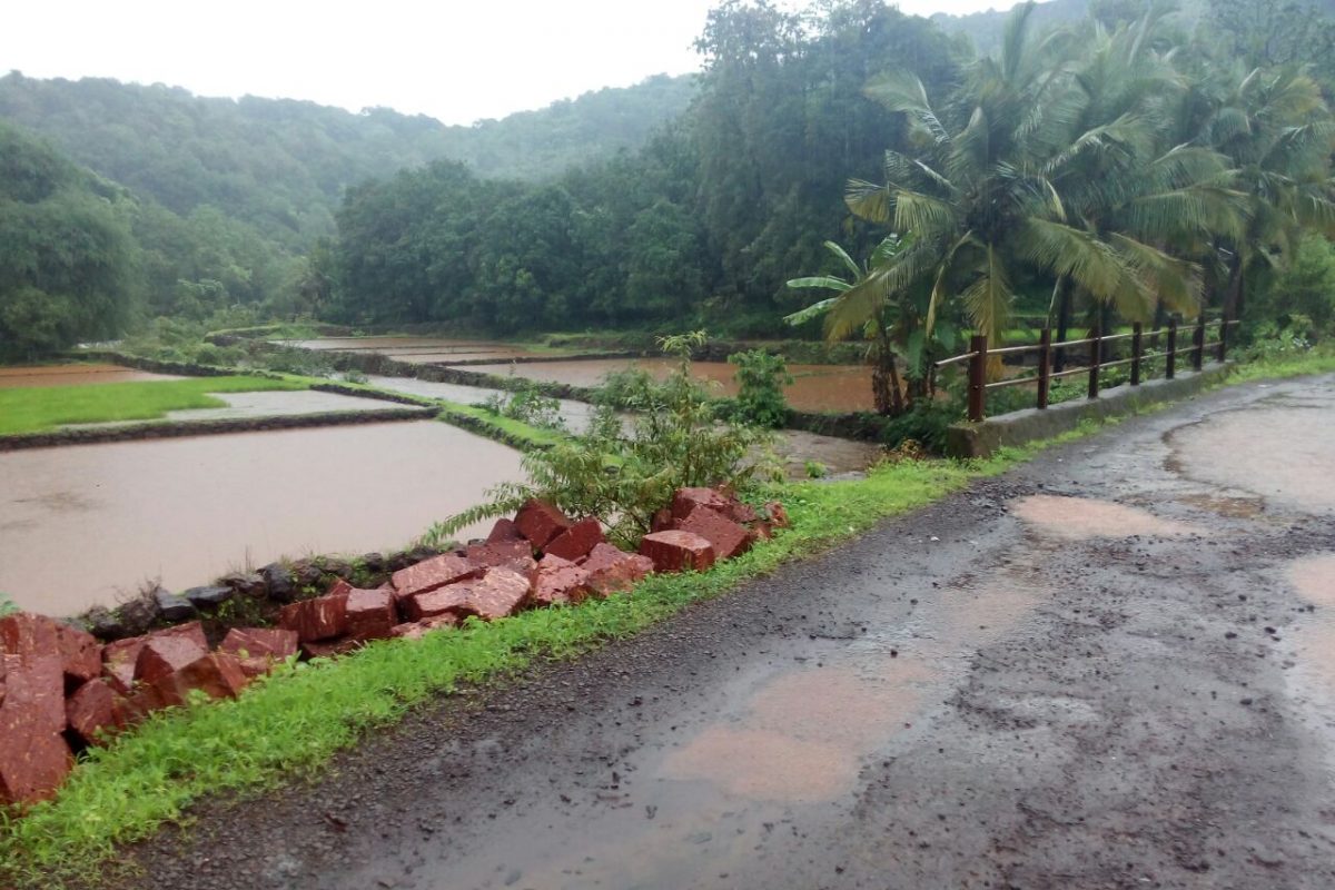 Konkan Rain Alert : पाऊस इलो रे! कोकणात पुढचे चार दिवस पावसाचे धडामधूम, हवामान विभागाकडून orange alert