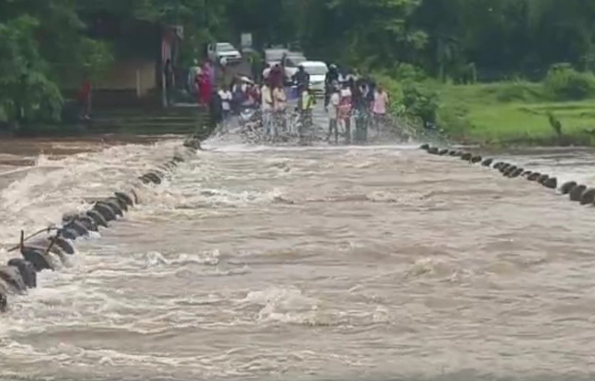 Konkan Rain Alert : कोकणात पावसाची जोरदार बॅटींग, भात शेतीचे मोठे नुकसान, गावांचा संपर्क तुटला