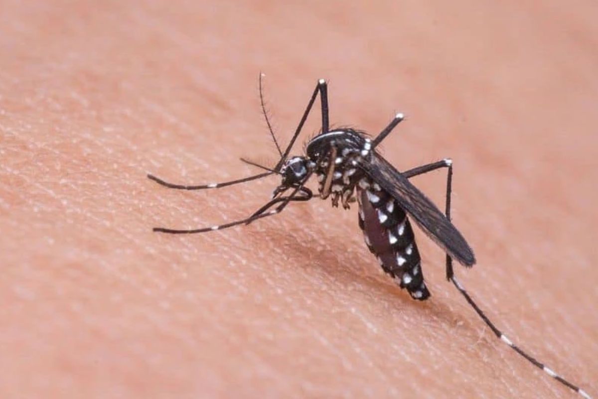 प्रतिकात्मक फोटो