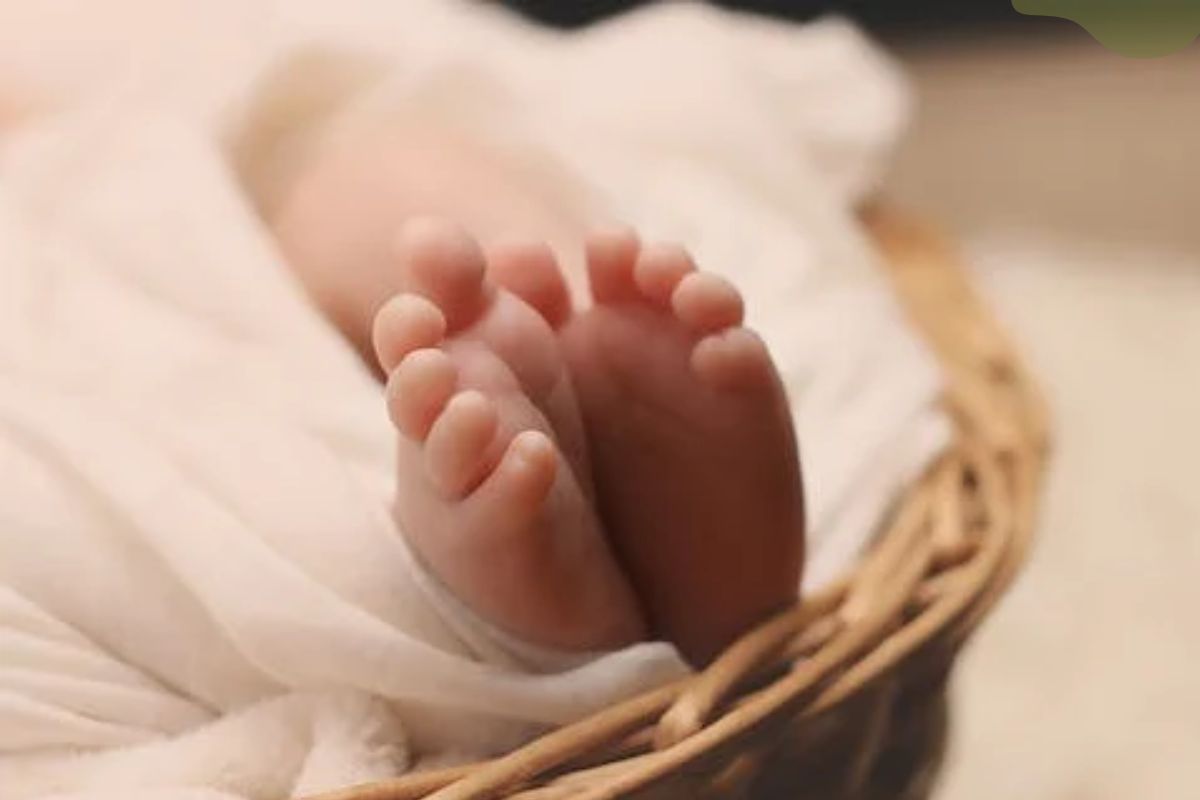 प्रतिकात्मक फोटो