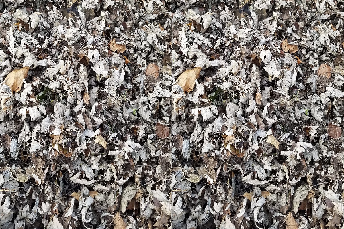 सोर्स : गुगल