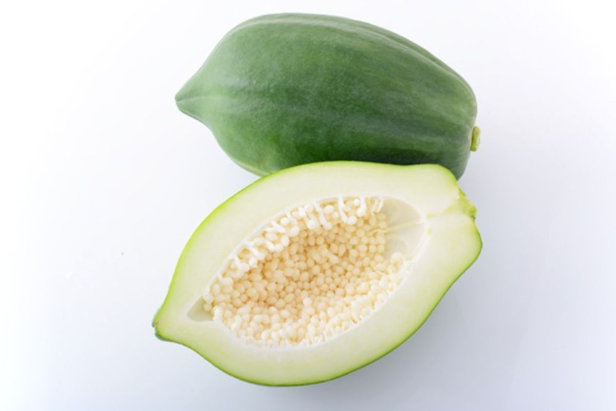 शरीरातील युरिक अॅसिड नियंत्रणात राहण्यासाठी दररोज सकाळी कच्च्या पपईचा ज्युस घेणं गुणकारी आहे