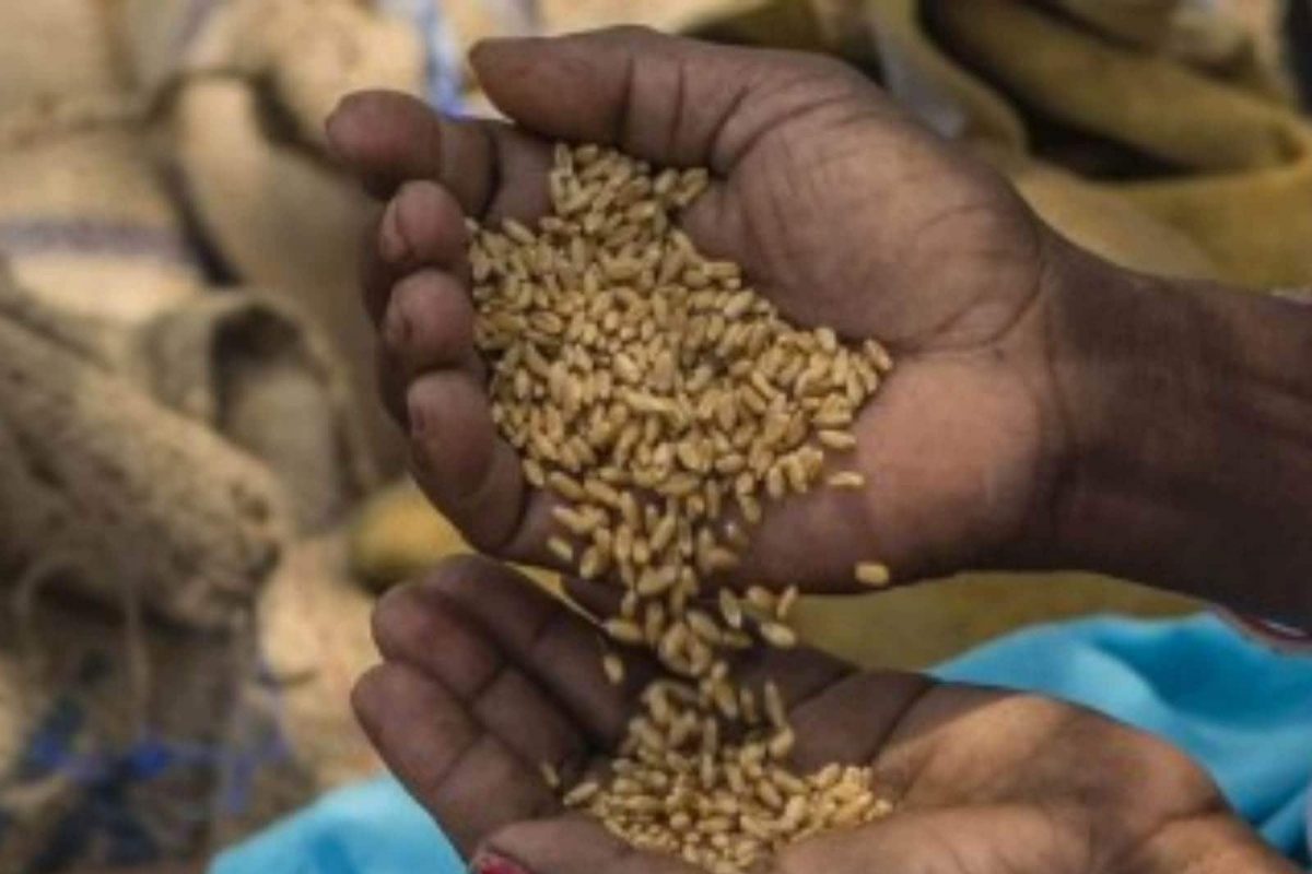 खुशखबर! फ्री रेशनसोबत मोदी सरकार आणतंय मोठा Plan