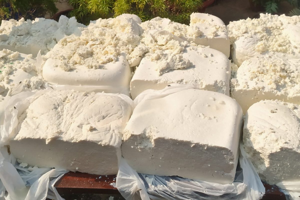 Pune Fake Paneer : पुणेकर सावधान नकली पनीर बाजारात, अन्न व औषध विभागाचे मोठी कारवाई लाखोंचे पनीर जप्त
