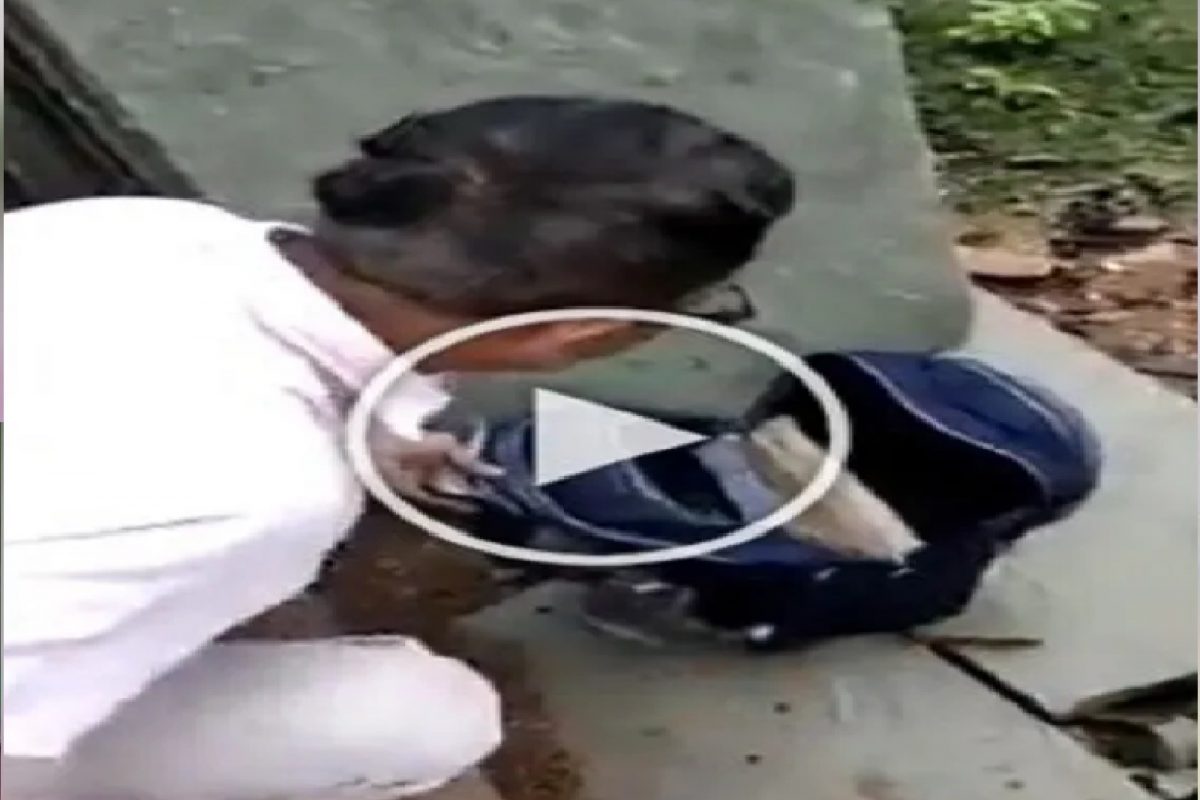 शाळेच्या बॅगेत असं काही होतं की शिक्षकही घाबरले.