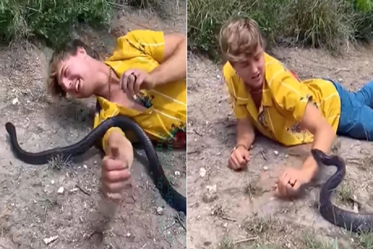 जेव्हा धोकादायक सापासमोर येऊन झोपला तरुण, पुढे जे घडलं ते अंगावर काटा आणणारं पाहा Video