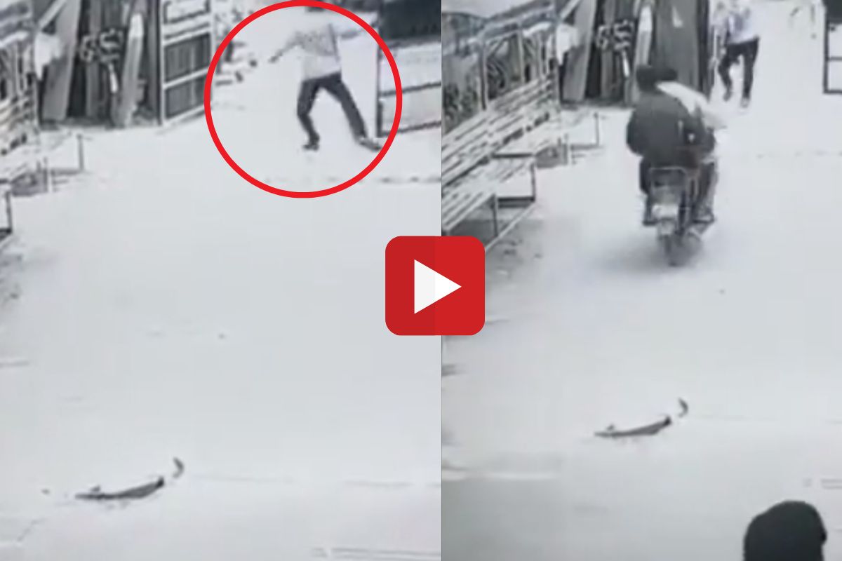 गार्डच्या धाडसीपणामुळे चोर पकडले