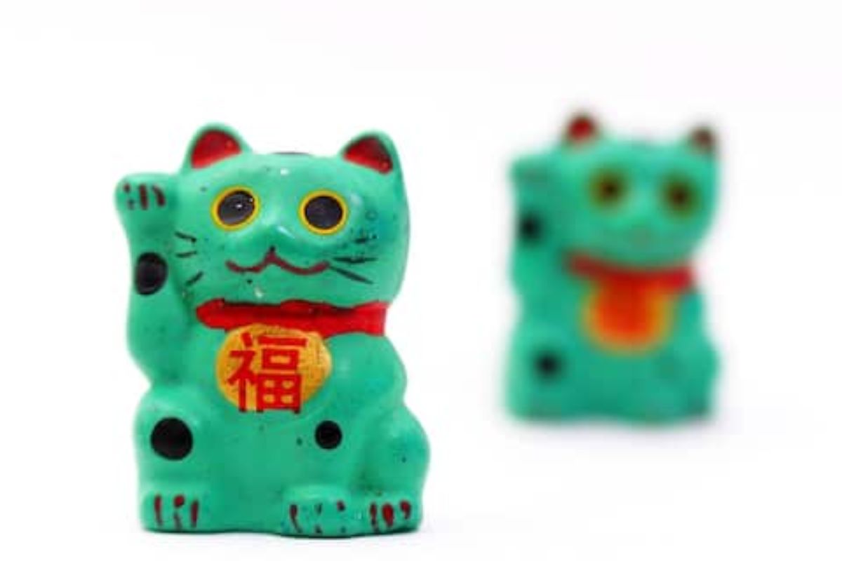 Vastu Tips : ही मांजर घरातील नकारात्मक ऊर्जा काढून टाकते, जाणून घ्या यासंबंधित फेंगशुई टिप्स