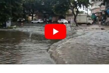 वर्धा: मुख्य रस्ता पाण्याखाली, बाजरीची पिके जमीनदोस्त; शेतकऱ्यांसमोर मोठं आव्हान वर्धा: मुख्य रस्ता पाण्याखाली, बाजरीची पिके जमीनदोस्त; शेतकऱ्यांसमोर मोठं आव्हान